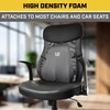 Cat Big Lumbar Support Cushion for Cars Trucks SUVs -