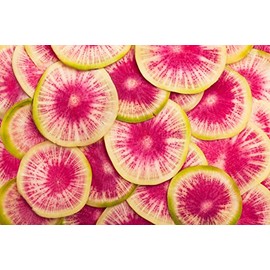 “Watermelon” Radish Seeds – Fast Growing Radish with a Pink Center – Harvest in 60 Days | Never GMO, Always Heirloom and Open-Pollinated | USA Grown Seeds by Liliana's Garden |