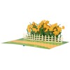 Liebessa 3D Pop Up Card Flowers (Daffodils) Beautiful Birthday Card,