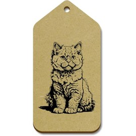 10 x Large 'Selkirk Rex Cat Sitting' Wooden Gift Tags (TG00127089)
