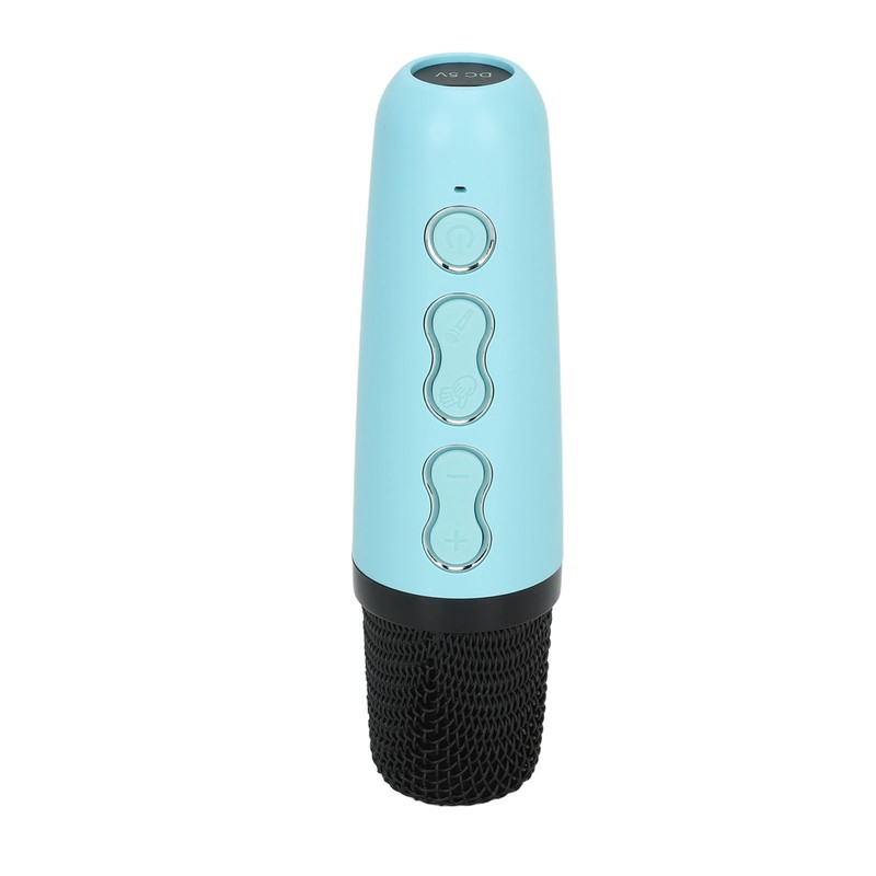 Mini Karaoke Machine Portable Bluetooth Speaker With Wireless Microphone Bass