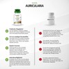 Fairvital Auricularia 500 mg – 90 Capsules – 500 mg