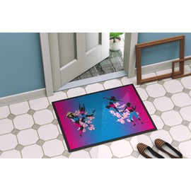 Caroline's Treasures BB5373MAT Hip Hop in Pink Blue Door Mat, Indoor Rug or Outdoor Welcome Mat 18x27 Doormat, 18H X 27W, Multicolor