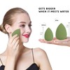 Premium Makeup Sponge Egg, Latex-Free Makeup Puff Beauty Foundation Blend