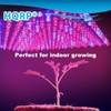 HQRP 14W 225 LED Blue + Red Spectrum Hydroponic Plant