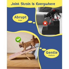 iPetba Small Medium Dog Ramp for Couch & Bed, Joint & Spine Support