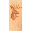 Mixed Species Veneer 1/16" Thick, 3 Sq. Ft. Pack
