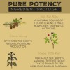 Surthrival Pine Pollen Pure Potency 1.69 Fl. Oz.