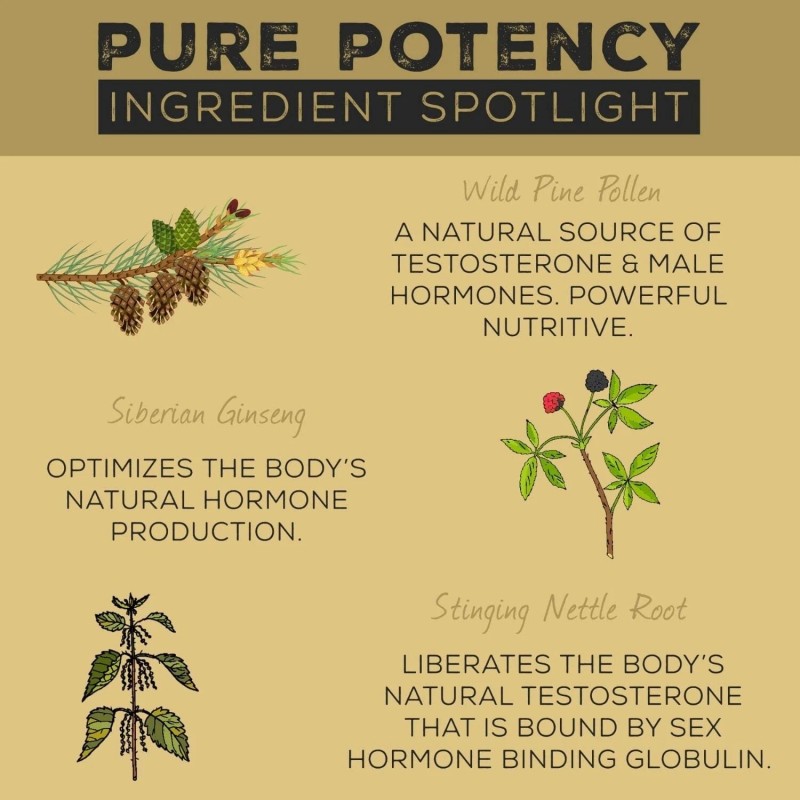 Surthrival Pine Pollen Pure Potency 1.69 Fl. Oz.