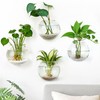 DomeStar 4PCS Wall Vases, Wall Mounted Hanging Glass Vases Clear
