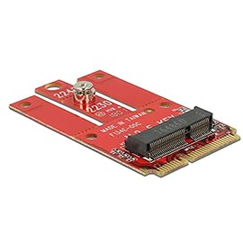 DeLOCK Adaptor Mini PCIe M.2 Key Slot