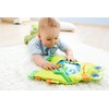 HABA 301467 - Wasser-Spielmatte Frosch, Kleinkindspielzeug, grün