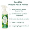 Absolute Green All Purpose Cleaner Spray, Non-Toxic, Kitchen, Bath, Countertop,