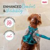 HALTI Anatomy Dog Harness with Handle - Provides Your Dog