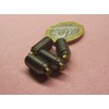 18-8 Stainless Steel Brass Tip Set Screw 1/4"-20 x .500"