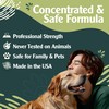 Enzyme Cleaner for Cat Urine | Cat Pee Odor Eliminator
