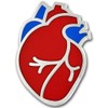 PinMart The Human Heart Medical Enamel Lapel Pin