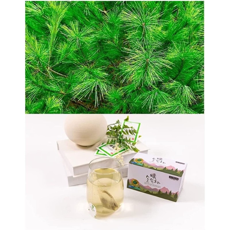 Organic Natural Pure Pine Needle Tea (2 Box(50 Tea Bag))-Individually