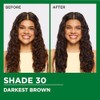 Garnier Nutrisse Tinte para el cabello, 30 café Oscuro (Sweet