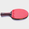 Table Tennis Racket, Beginner, Intermediate, Shake, Carbon Case, Pen, Double-Sided,