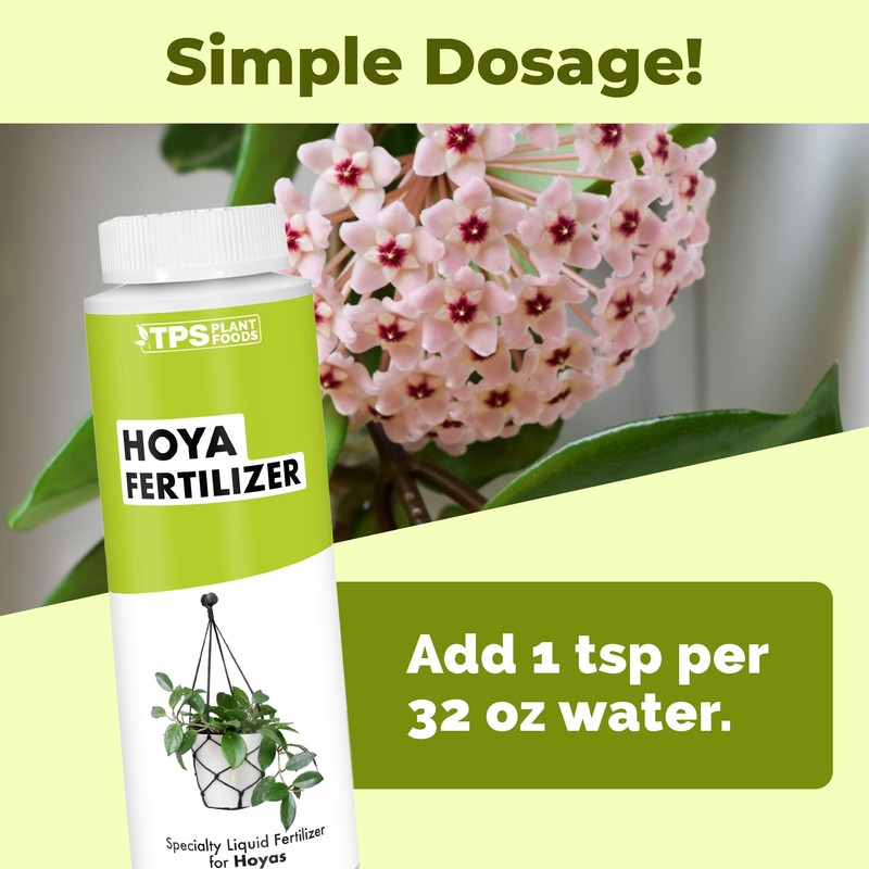 Hoya Fertilizer, Complete Liquid Hoya Plant Food, 8 oz (250mL)