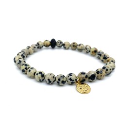 Dalmatian Jasper Crystal Bracelet - Gold Bee Charm Bracelet - Protection Crystal Bracelet - Positivity Crystal Bracelet - Crystals for Joy (6.5 inch Medium)