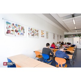 STAS Paper Rail 78.7'' - Wall-Mounted Display for Posters, Photos, Memos, and Drawings - Silver