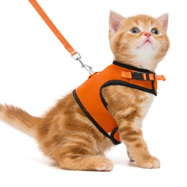 PUPTECK Soft Mesh Cat Vest Harness and Leash Set Puppy Padded Pet Harnesses Escape Proof for Cats Small Dogs Rabbits Bunny