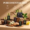 Essential Oil Set - Essential Oils - Pure Essential Oils