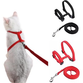 Arnés Ajustable para Gatos y Gatitos