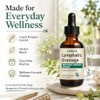 Lymphatic Drainage Drops, 2000mg Herbal Blend with Elderberry & Echinacea