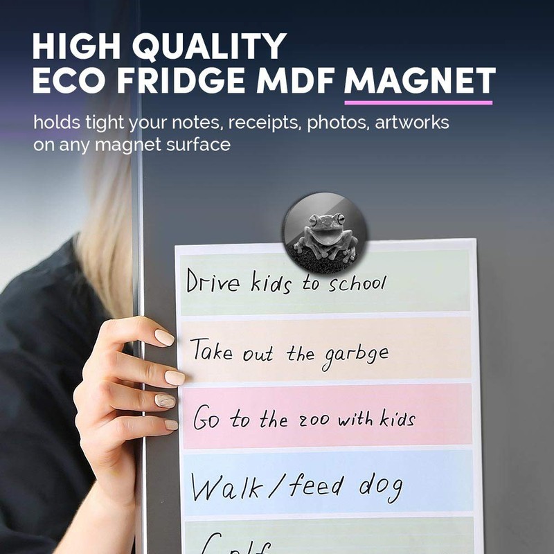 1 x Round MDF Magnet - Happy ny Frog Jungle