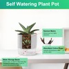 WCHOSOZH 6Pcs Self Watering Pots for Indoor Plants, 4.3+5.5 Inch