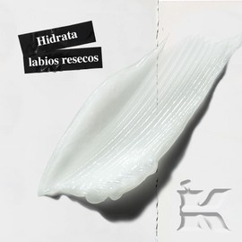 Kiehl's, Lip Balm #1, Hidratante para Labios, Un clásico de Kiehl's desde la década de 1960, Hidrata, Calma y Suaviza Labios Secos, Con Escualano, Aloe Vera y Vitamina E, 15 ml