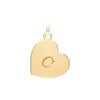 Beautiful 9ct Gold Heart Letter Initial Ladies Pendant WJS35314LTC, Metal,