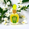 Lattafa Perfumes | Wild Vanille - Unisex fragrance 3.4 oz