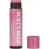 Burt's Bees Burts Bees Balsamos Para Labios Con Color 4.25g