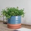 HERDUK 8 Inch Pots for Plants, Ceramic Planter Pot with