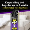 Raid Max Bed Bug Crack & Crevice Extended Protection Foaming