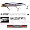 KAGELOU MD 125F GLX Double Chart