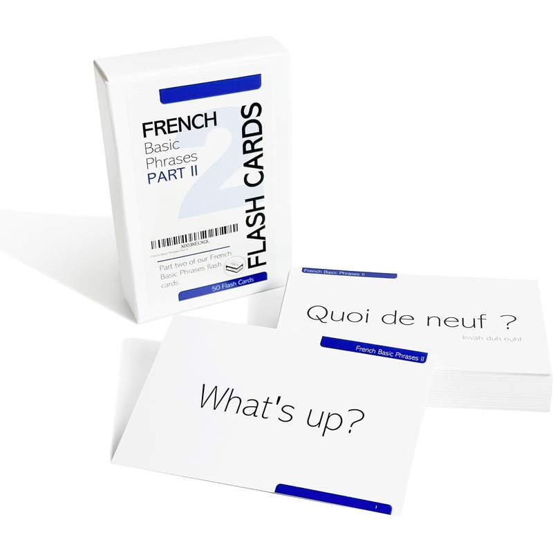 Pat's Flash Cards 250 Essential French Flash Cards Bundle