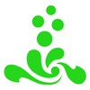 Formula Basic Bitter Herbs - 125 g Powder - Detoxification