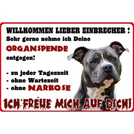 Schatzmix Saying Willkommen Lieber Einbrecher Ich freue Mich auf Dich Warning Sign Metal Sign 20 x 30 cm Wall Decoration Tin Sign Tin Sign, Sheet Metal, Multi-Coloured