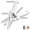 Jero Stainless Steel Kitchen Shears with Holder - Perfect for