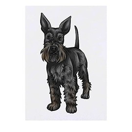 'Black Schnauzer' Temporary Tattoo - Water Resistant, Skin-Safe, Non-Toxic Transfer (TO00045250)