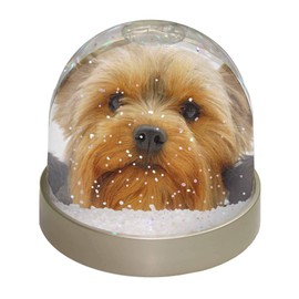 Yorkshire Terrier Dog Photo Snow Globe Waterball - Advanta Group®