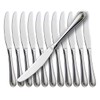 faderic Dinner Knives 12pcs Set with Hollow Handle Table Knife