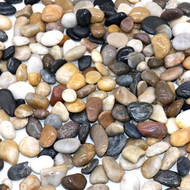 Premium Pebbles Rocks for Plants. Mixed Color Polished Decorative Pebbles. 0.5 to 1 Inch 18 lbs. for Garden, Landscaping, Indoor, Vase fillers, Crafting, Succulents, pots, Plants