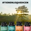 Spirulina Orgánica 100 Natural Espirulina Tecnología Cápsulas Veganas Capsulas Vitaminas