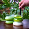 Matcha Ceremonial Premium Orgánico – Alta Calidad, Puro y Natural